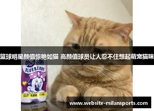 篮球明星颜值惊艳如猫 高颜值球员让人忍不住想起萌宠猫咪